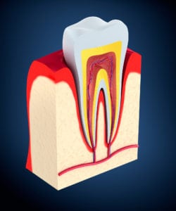 improve your gum health in Lititz, PA